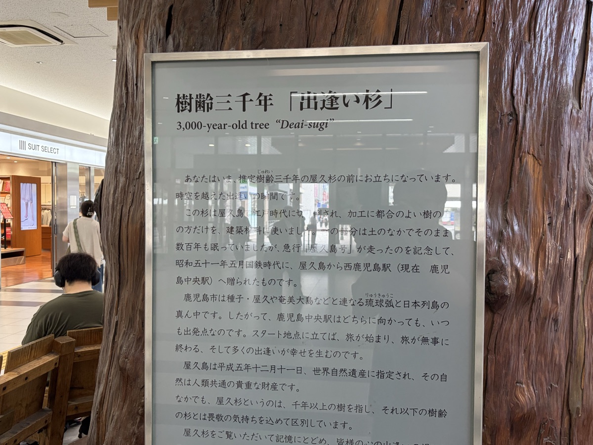 出逢い杉の説明プレート。樹齢三千年「出逢い杉」3,000-year-old tree Deai-sugi