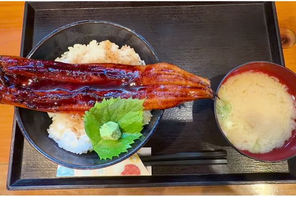 桜勘のうなぎランチ。丼からはみ出すまるまる一匹のうなぎと味噌汁