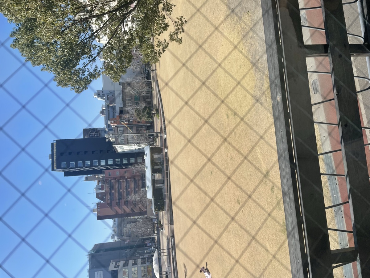 Cafe やましろの窓から見下ろす天文館公園と青空